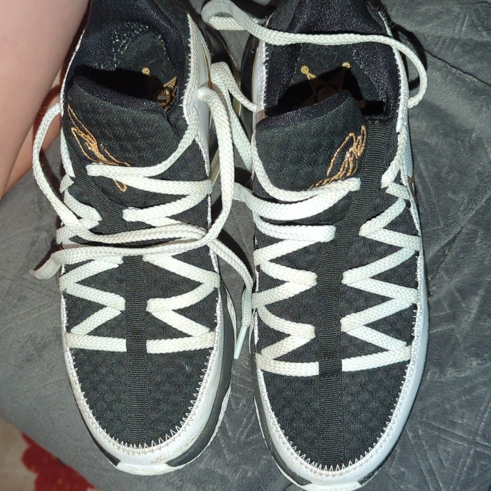 Lebron James shoes youth size 6